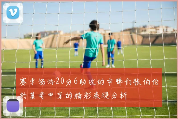 赛季场均20分6助攻的中锋们张伯伦约基奇申京的精彩表现分析