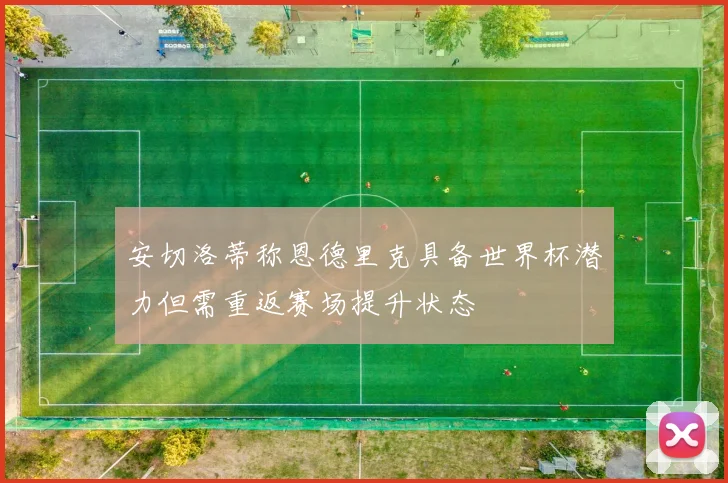 安切洛蒂称恩德里克具备世界杯潜力但需重返赛场提升状态