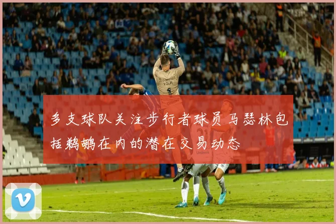 多支球队关注步行者球员马瑟林包括鹈鹕在内的潜在交易动态