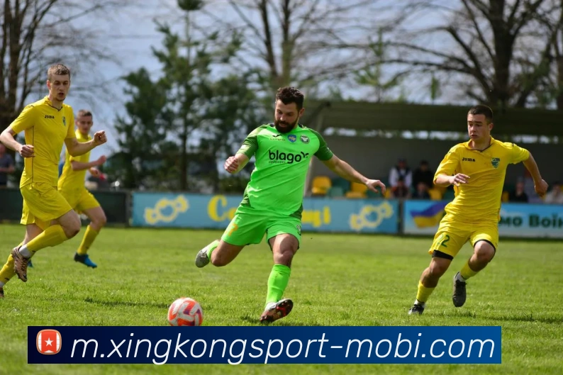 多媒体互动体验