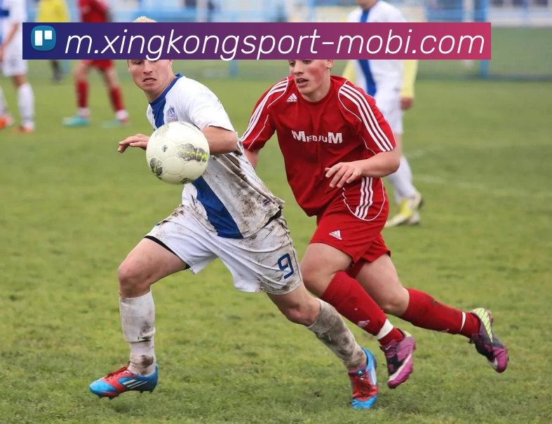 星空体育APP 高清赛事图